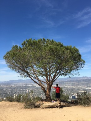 Photo Feb 22, 4 21 38 PM